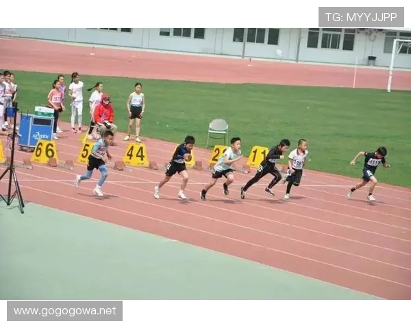 乐清市小学体育联赛（2020乐清市中小学生篮球赛）sports